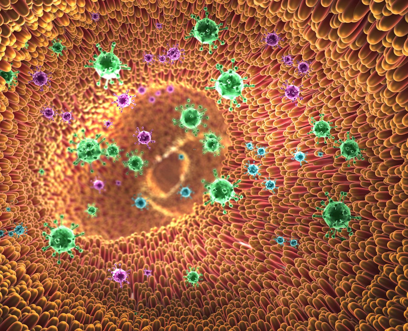 Influenza intestinale sintomi e rimedi